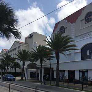 Meet your Posher, Grace